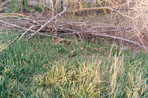 large_02